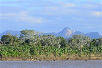 Landscape on the Rio Alto Beni