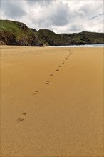 Footprint on Boyeeghter Beach