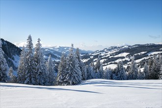 Snowy winter landscape on the Gurnigel Pass