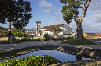 Park at the Church of Nossa Senhora da Estrela with Town Hall Tower and Ironwood Trees