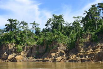 Fractured clay bank of the Rio Alto Beni