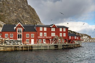 Red boathouses in A harbour