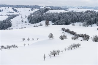 Winter Landscape at Hirzel