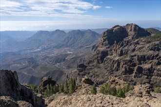 View from Pico de las Nieves