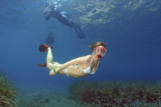 Snorkeler dives down swims over sea grass