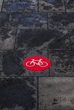 Red cycle path marking on wet pavement
