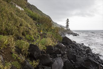 Hikers on the path along the coast to Rocha da Relva