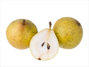 Pear variety Lemon pear