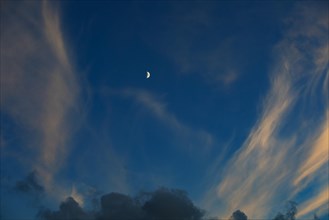 Evening sky with clouds and half moon
