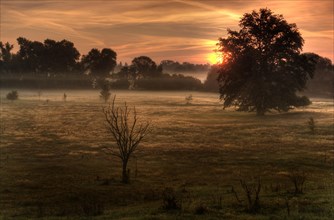 Sunrise in late summer in the Hainberg nature reserve near Fuerth. Middle Franconia in Bavaria in Germany