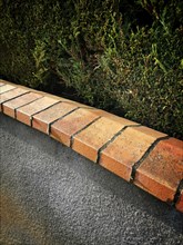 Garden wall and hedge. France