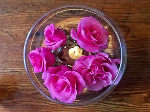 Floating rose heads in glass vase from above