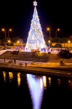 Illuminated Christmas tree