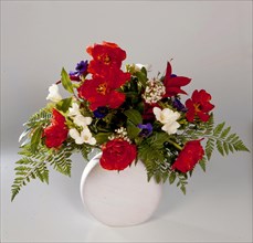 Spring flowers in the vase Clap poppy