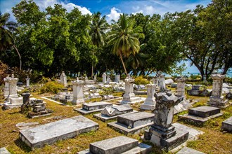 Historic Cemetery of the First Settlers