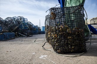 Many of the small green crabs are in the basket in the harbor in Alvor