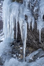 Icicles on a rock face