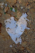 Tattered notebook pages in the shape of a heart at the bottom