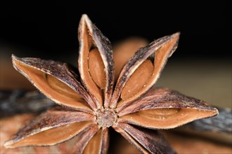 Close-up of a star anise