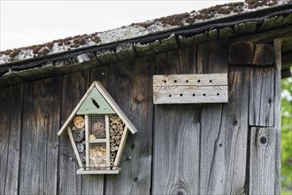 Insect hotel on a wooden wall