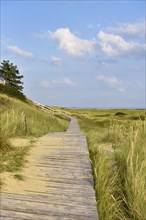 Boardwalk in the dunes near Wittduen