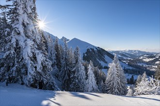 Snowy winter landscape on the Gurnigel Pass