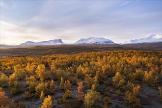 Autumnal fell landscape in front of snowy mountain group Lapporten