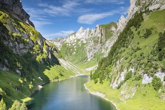 Mountain lake Faelensee