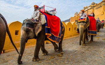 On the back of elephants to Amber Fort