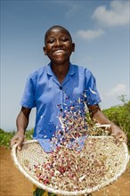 Young girl sorting chaff out from beans by tossing them in a basket