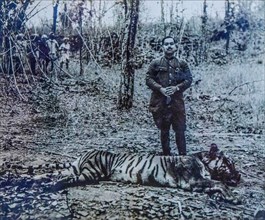 Photo of tiger hunting