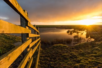 Cattle fence leading into flooded ditch in grazing marsh habitat at sunset
