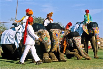 Elephant polo at Holi festival
