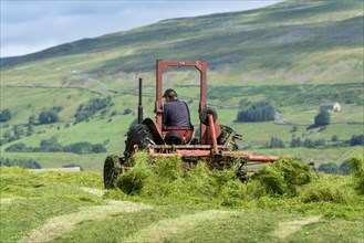 Farmer in Wensleydale turning grass to make hay with a vintage Massey Ferguson tractor. Hawes