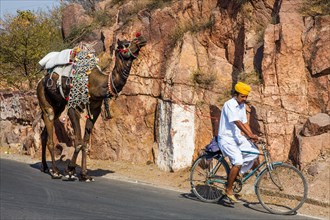 Man riding his camel to work on bicycle