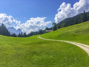 Path through alpine meadow to the Gschwandtnerbauer mountain restaurant