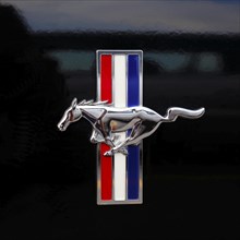 Car emblem
