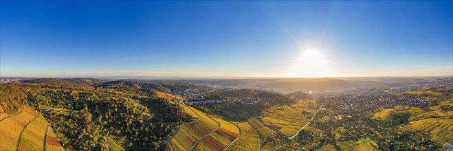 Panoramic view of vineyards near Stuttgart-Rotenberg