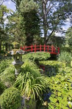 Japanese Garden with Stone Lantern