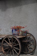 Still life with wooden wagon and planted clay pot