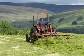 Farmer in Wensleydale turning grass to make hay with a vintage Massey Ferguson tractor. Hawes
