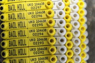 Set of Electronic Idenification tags with flock number and identification numbers on. UK