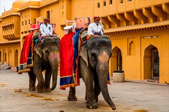 On the back of elephants to Amber Fort