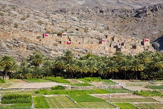Oasis on the mountain massif of Jabal Akhdar