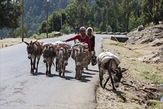 Women with pack mules on a street