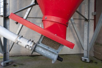 Auger on bottom of animal feed store to send concentrates to milking parlour
