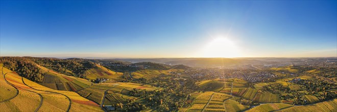 Panoramic view of vineyards near Stuttgart-Rotenberg