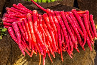 Carrots
