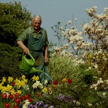 Amateur gardener watering