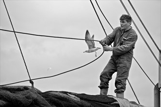 Fisherman with seagull